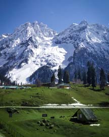 kashmir