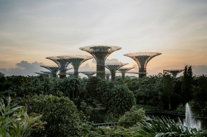 Singapore Packages from Delhi