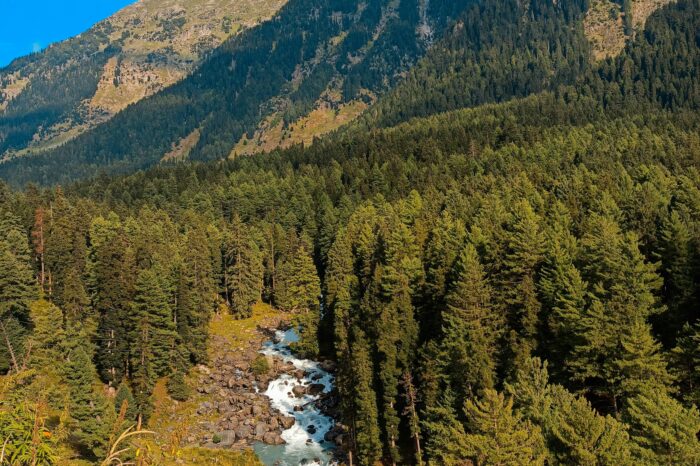 Best of Himachal Tour